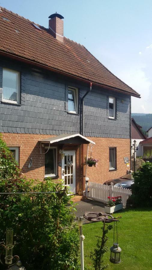 Haus Christa Apartman Langelsheim Kültér fotó